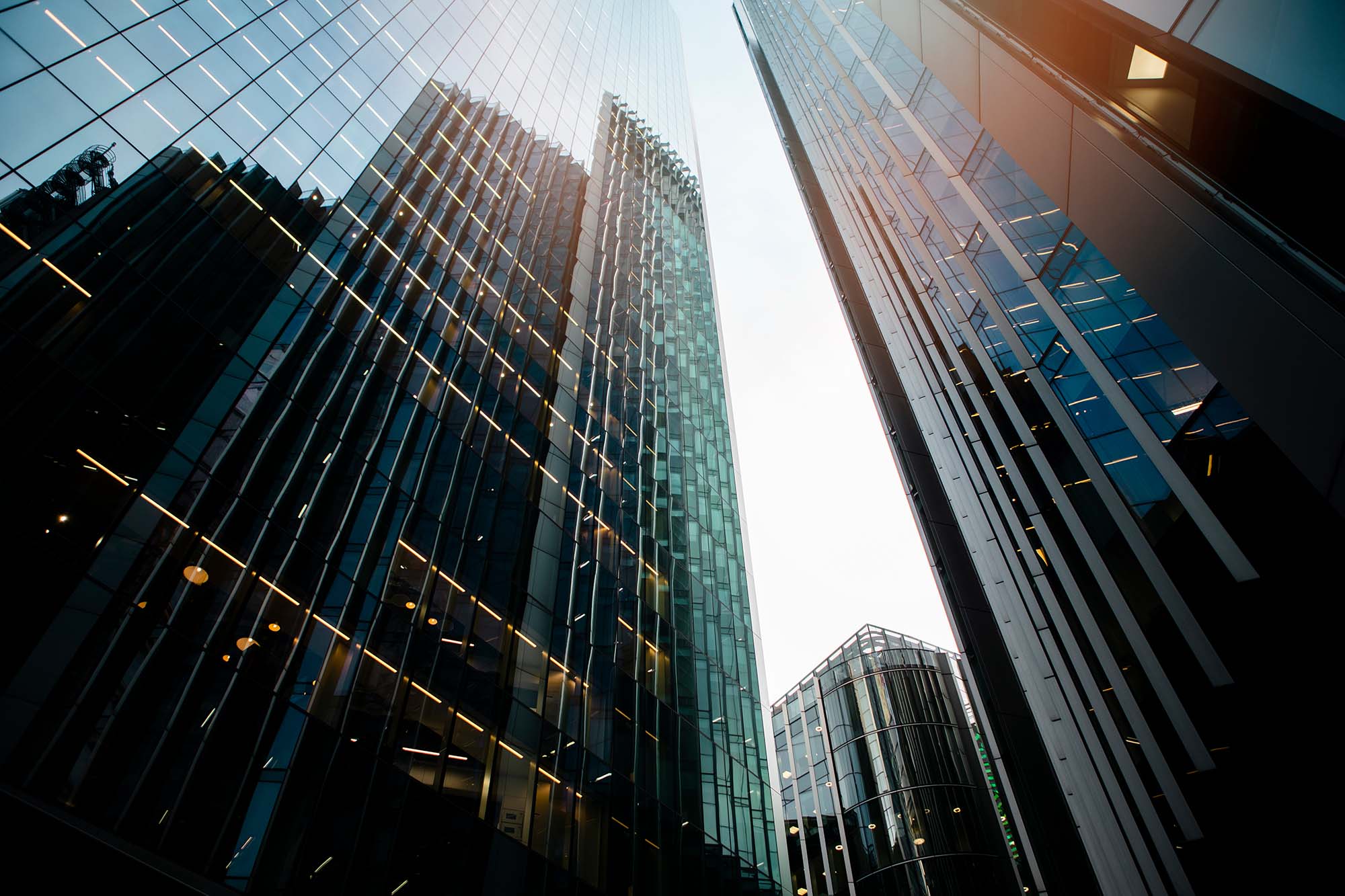 Monthly Market Update - June 2025