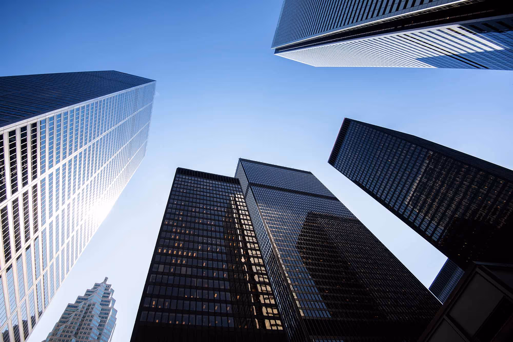 Monthly Market Update – January 2026
