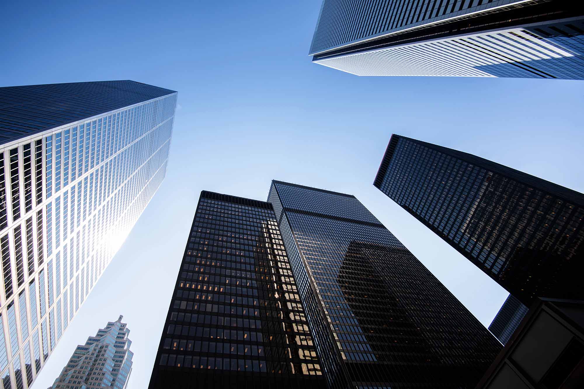 Monthly Market Update – January 2026