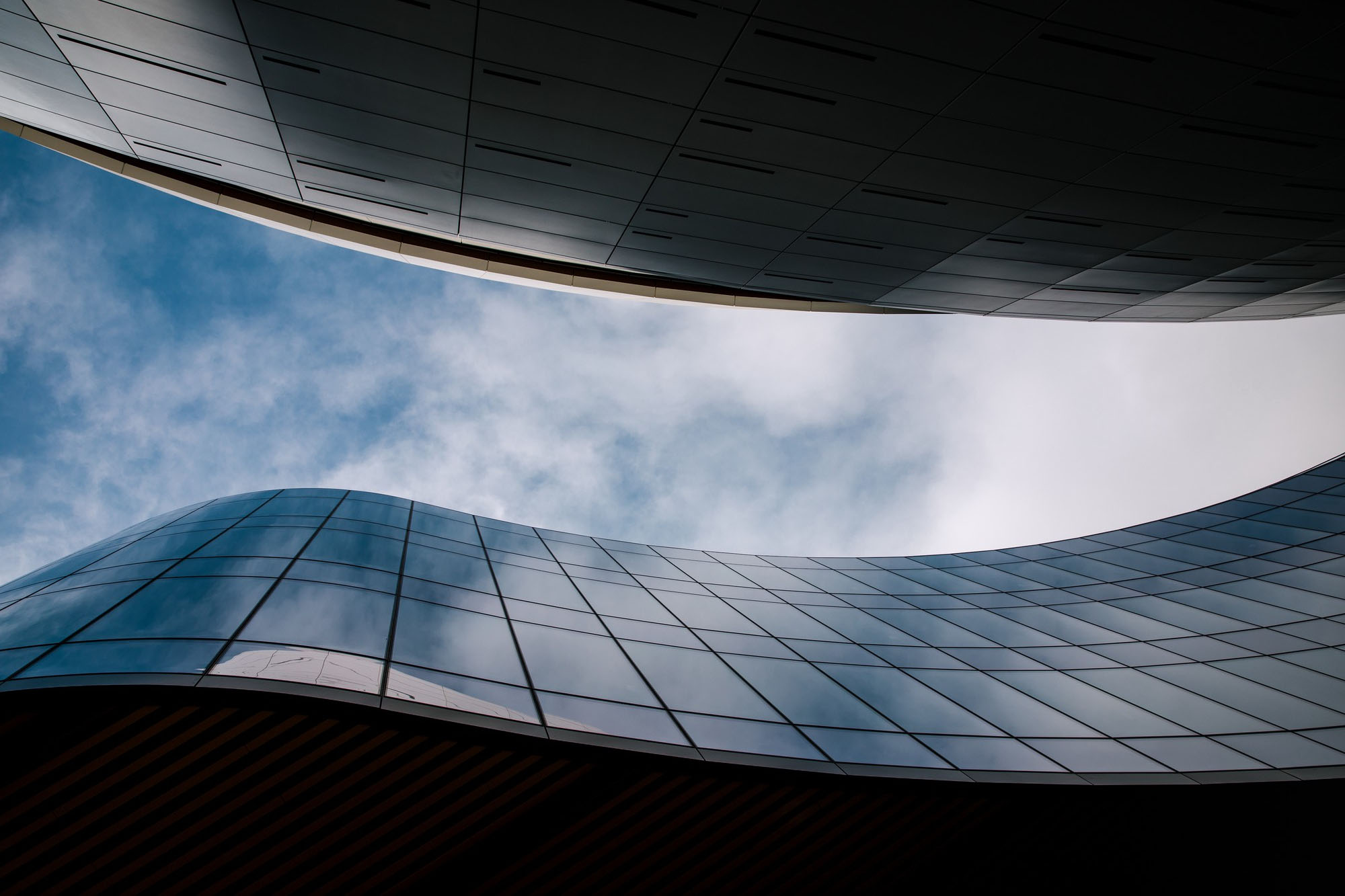 Monthly Market Update – February 2026