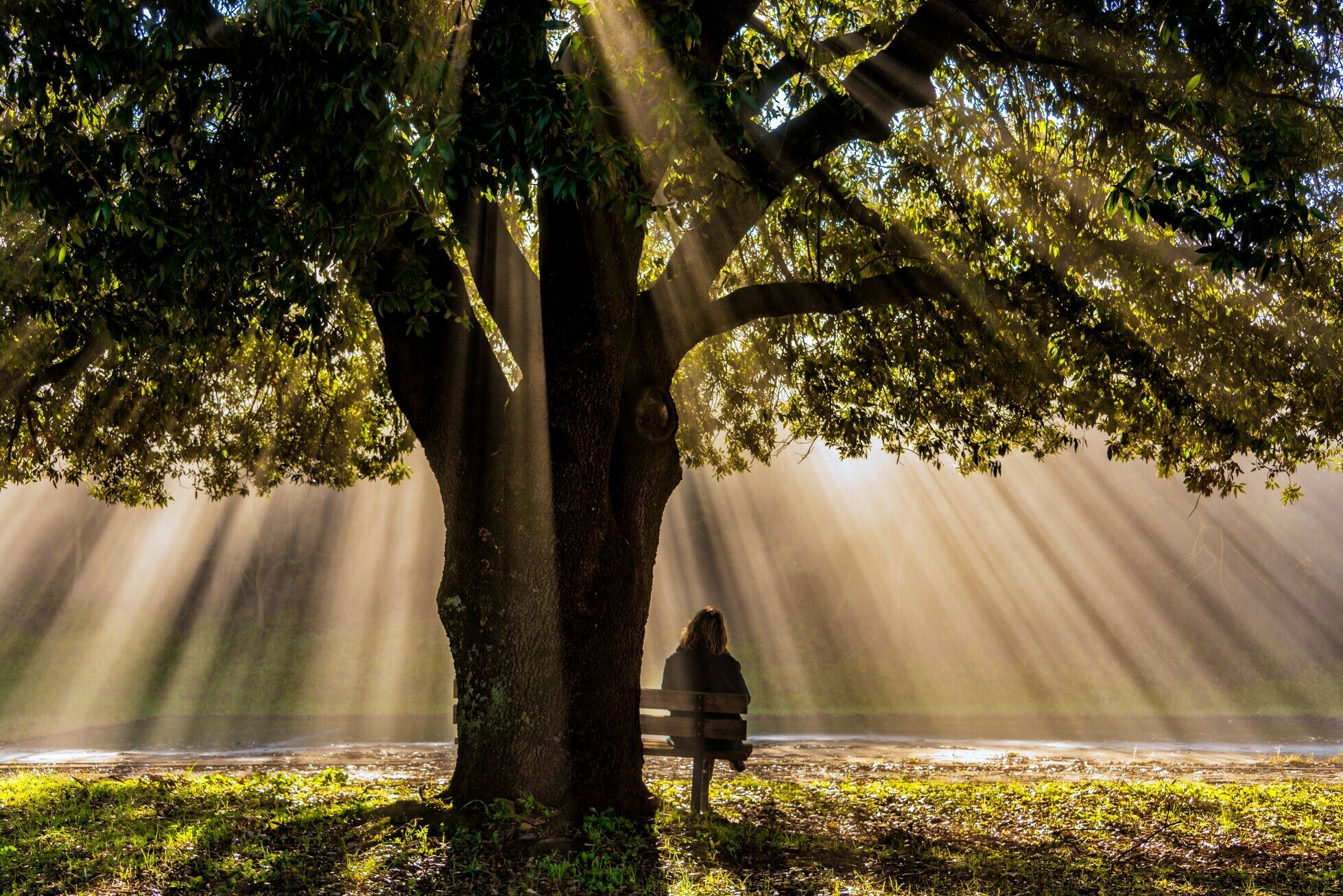 Widowhood, Estates and Super: What Beneficiaries Need to Review Now 