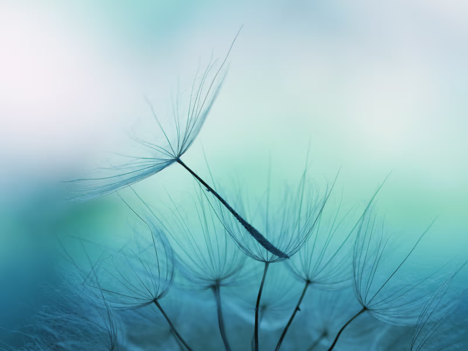 Wealth with purpose: the role of philanthropy in family wealth & succession planning