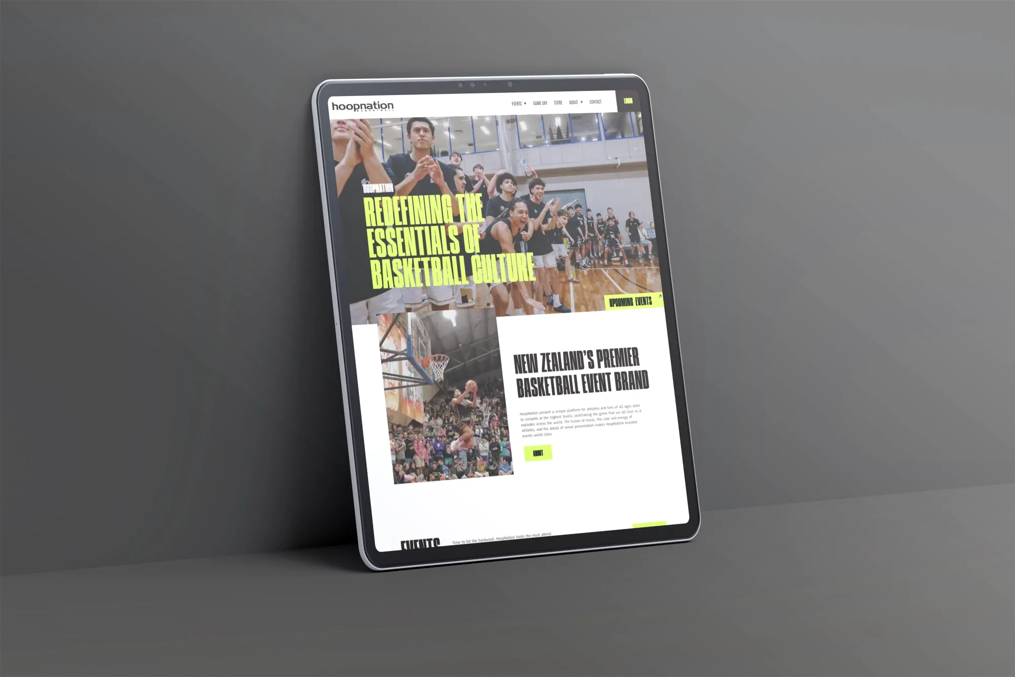 An illustrated bunny for pixelhop