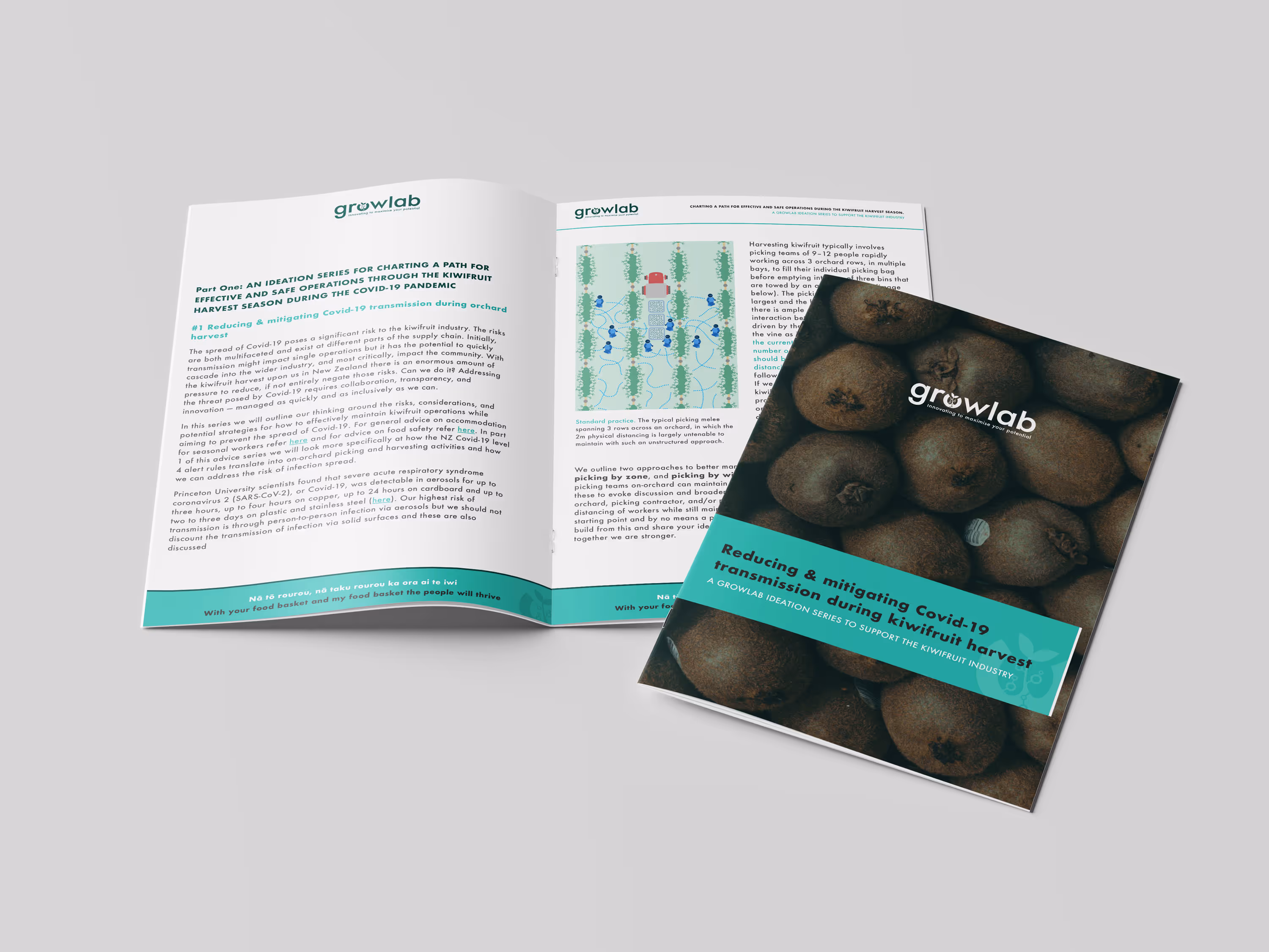 An open booklet from a growlab guide to kiwi picking