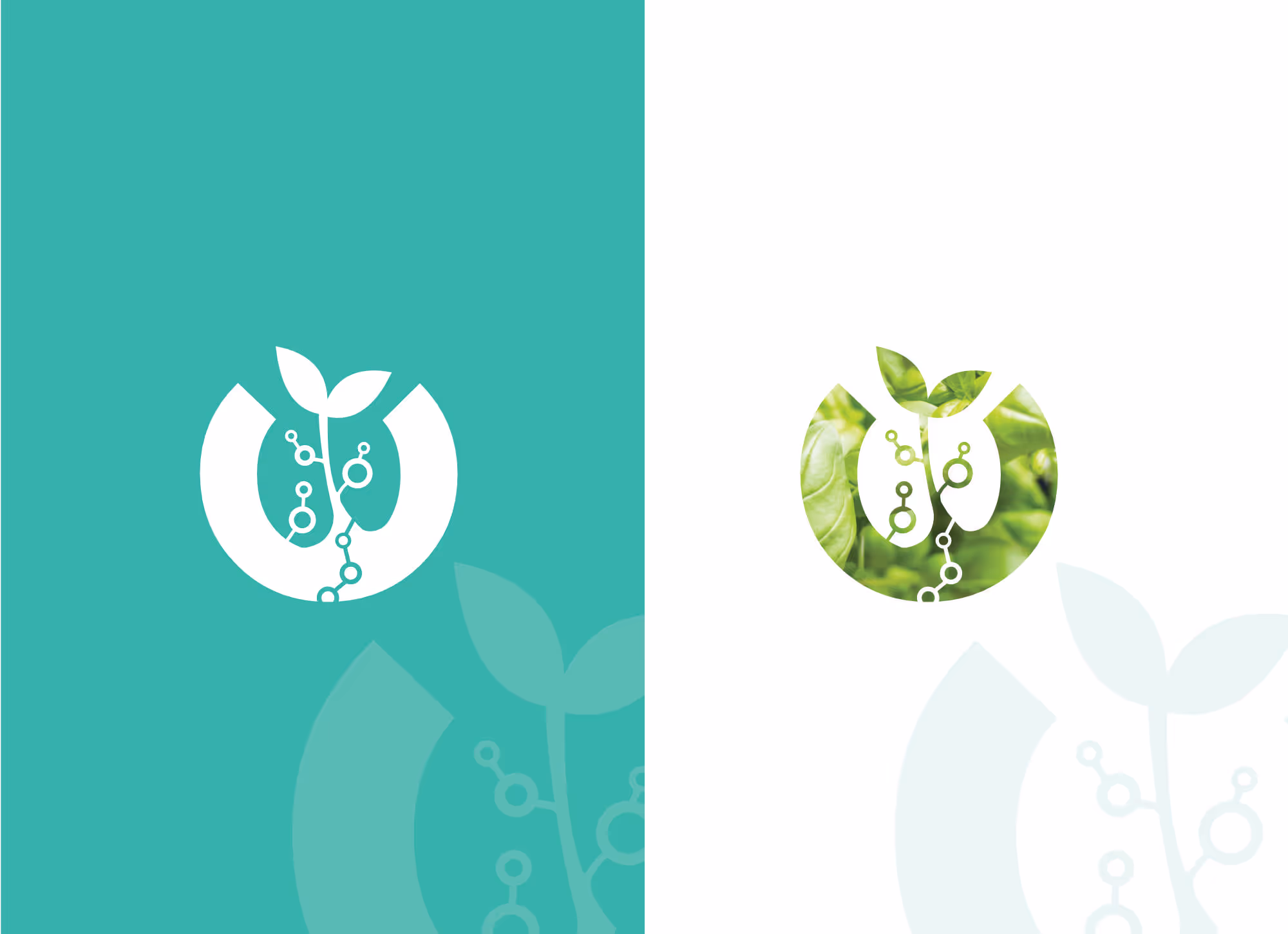 A side by side layout of the icon from the logo. A white one on a green background with the other on a white background filled in green.