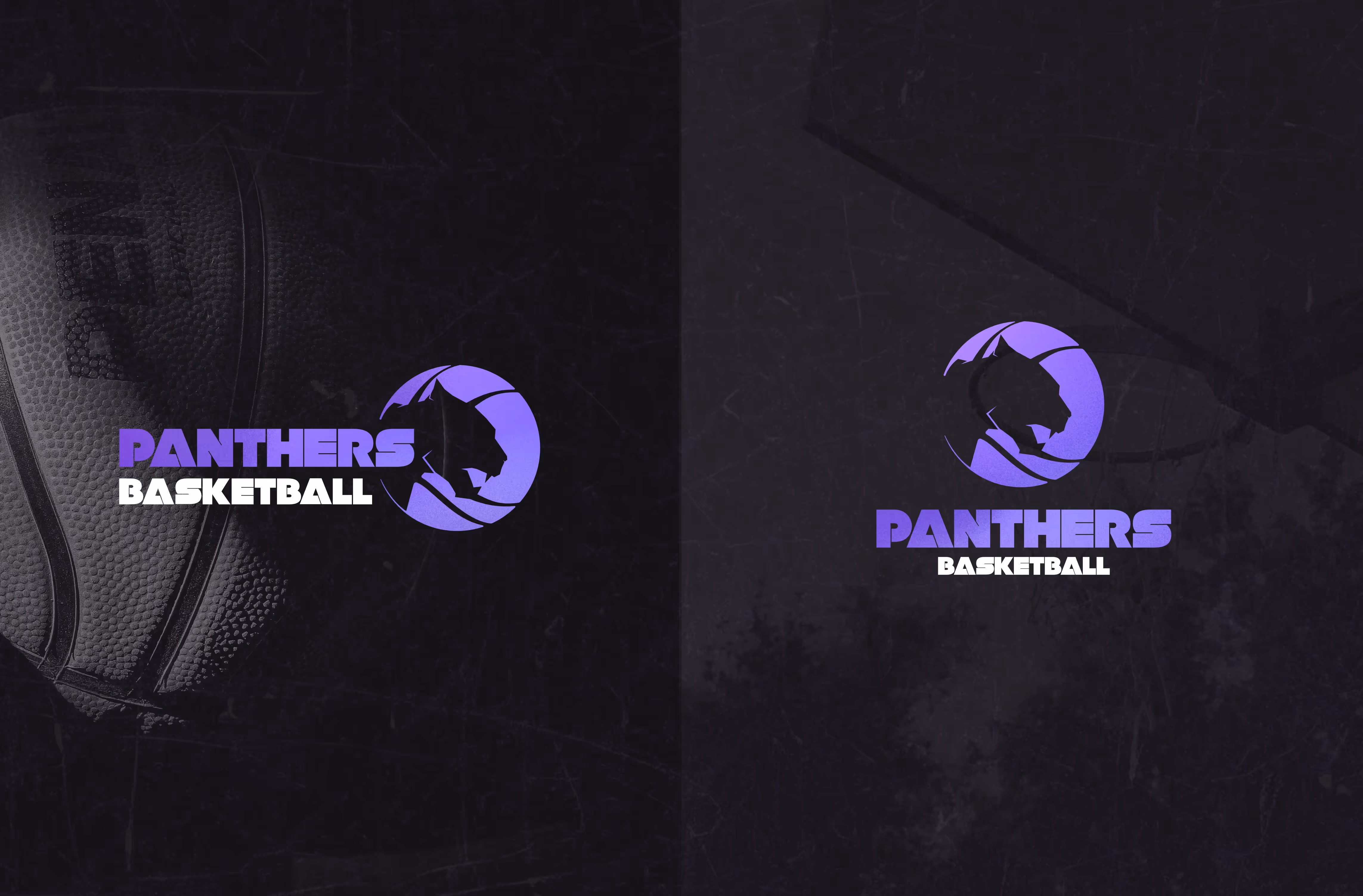 Two versions of the new Panthers Basketball logo