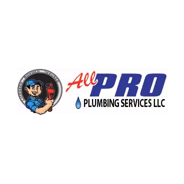 Logo for All Pro Plumbing Services LLC featuring a cartoon plumber holding a pipe wrench and a water droplet icon.