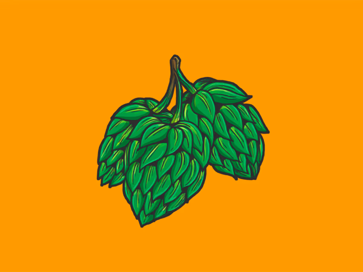 Illustration of three green hop cones with leaves on an orange background.