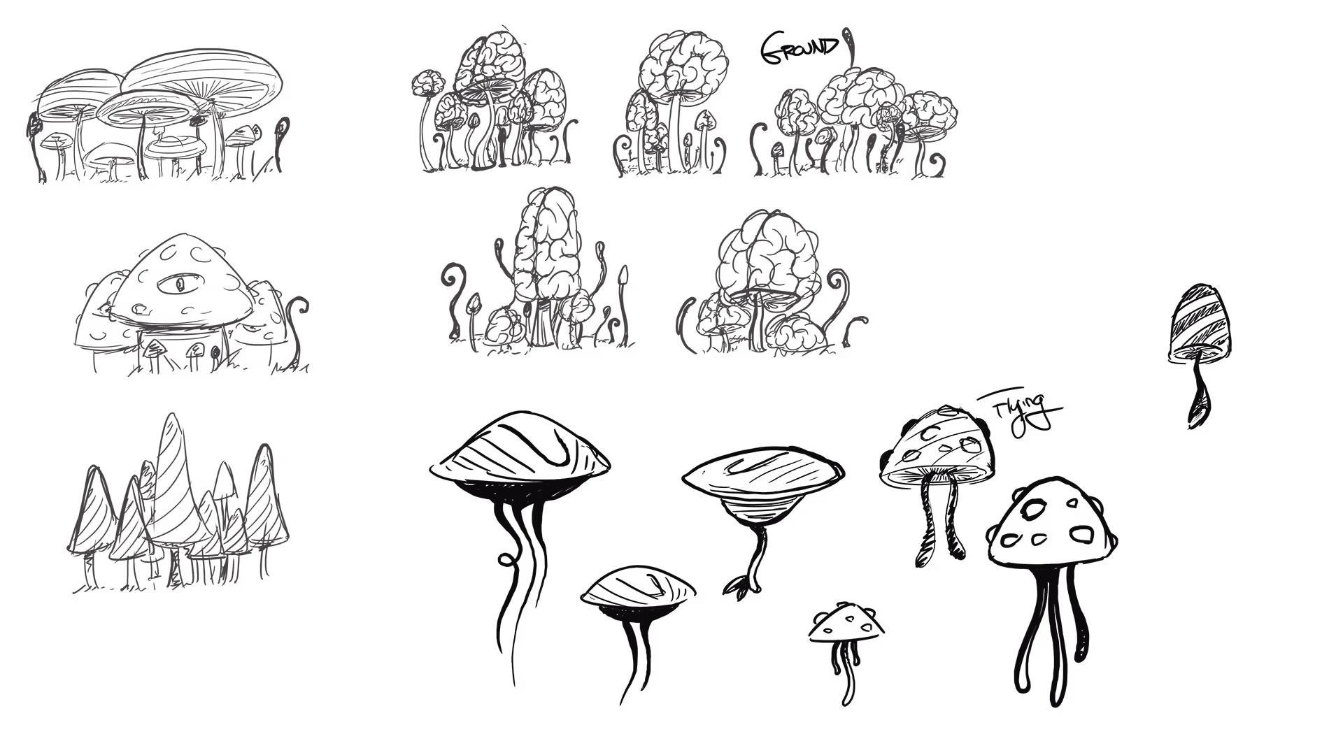 Black ink sketches of four different mushrooms showing details of caps, stems, and gills.