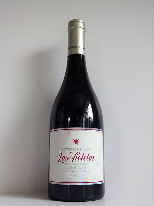 Soto Manrique Las Violetas 2021