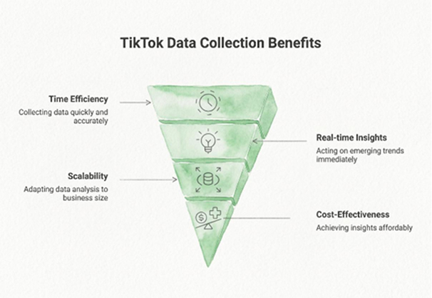 Why Businesses Should Collect TikTok Data Infographic – Data365.co
