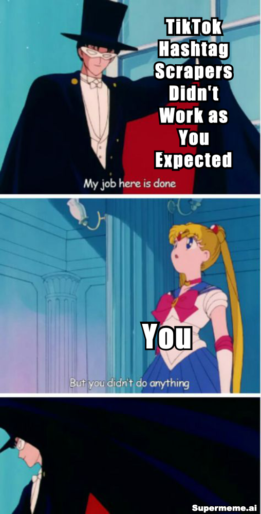Sailor Moon Meme - TikTok Hashtag Scrapers