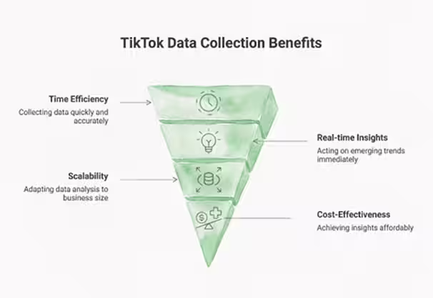 Why Businesses Should Collect TikTok Data Infographic – Data365.co