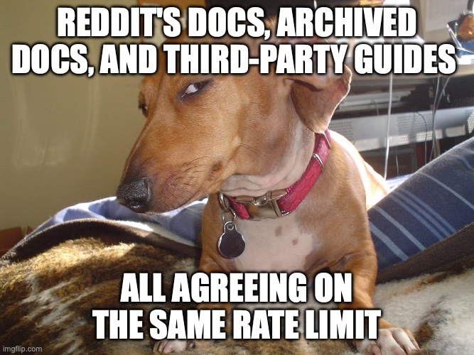 Suspicious Dog Meme – Reddit API rate limit meme