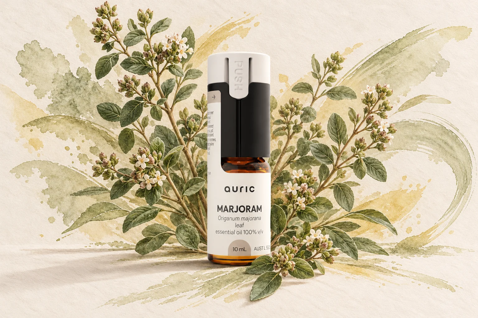 Auric Marjoram