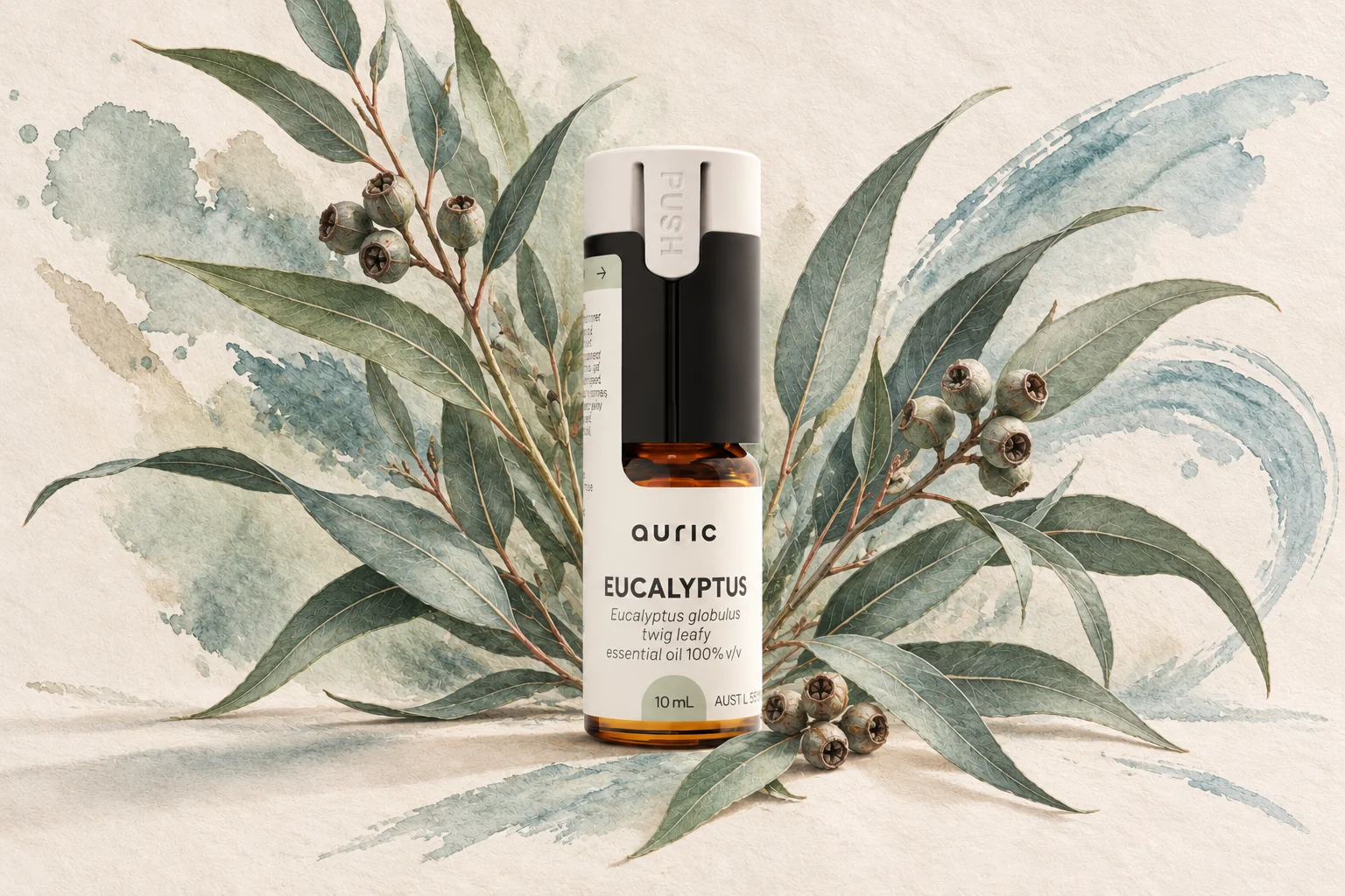 Auric Eucalyptus