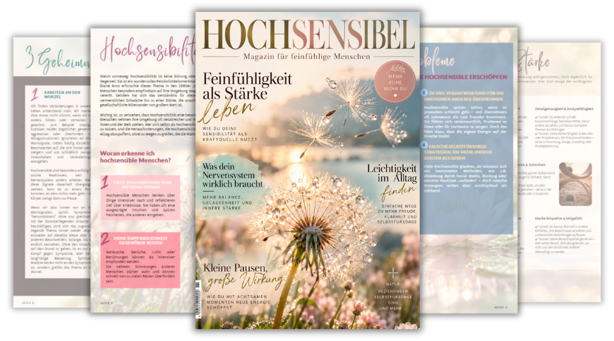 Cover und ein paar aufgefächerte Inhaltsseiten