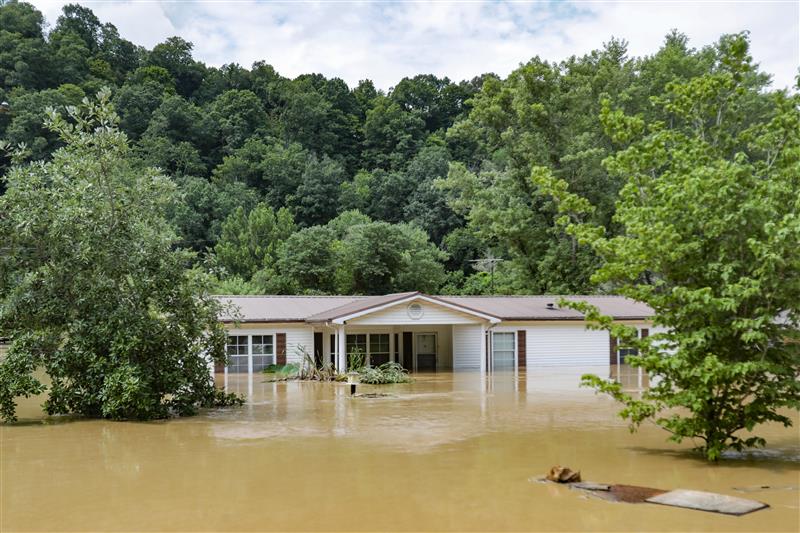 People observing flood damage with houses submerged in water.