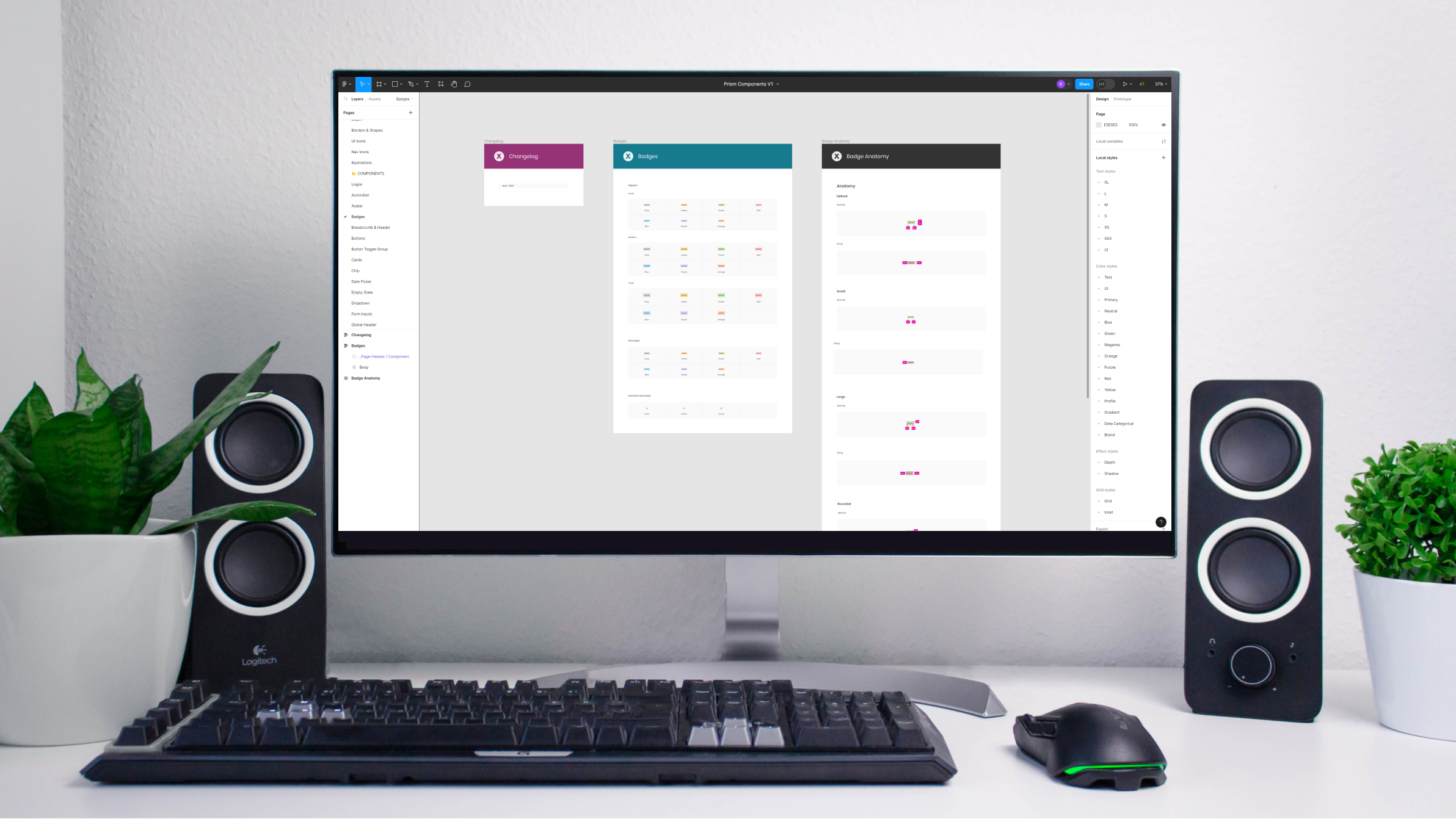 Xactly Design System