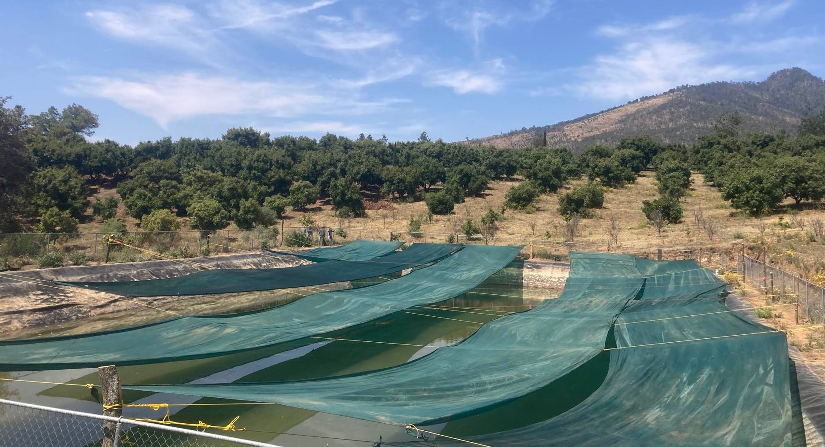 Floating Covers vs. Shade Mesh: Which Is the Best Investment toProtect Your Reservoir?