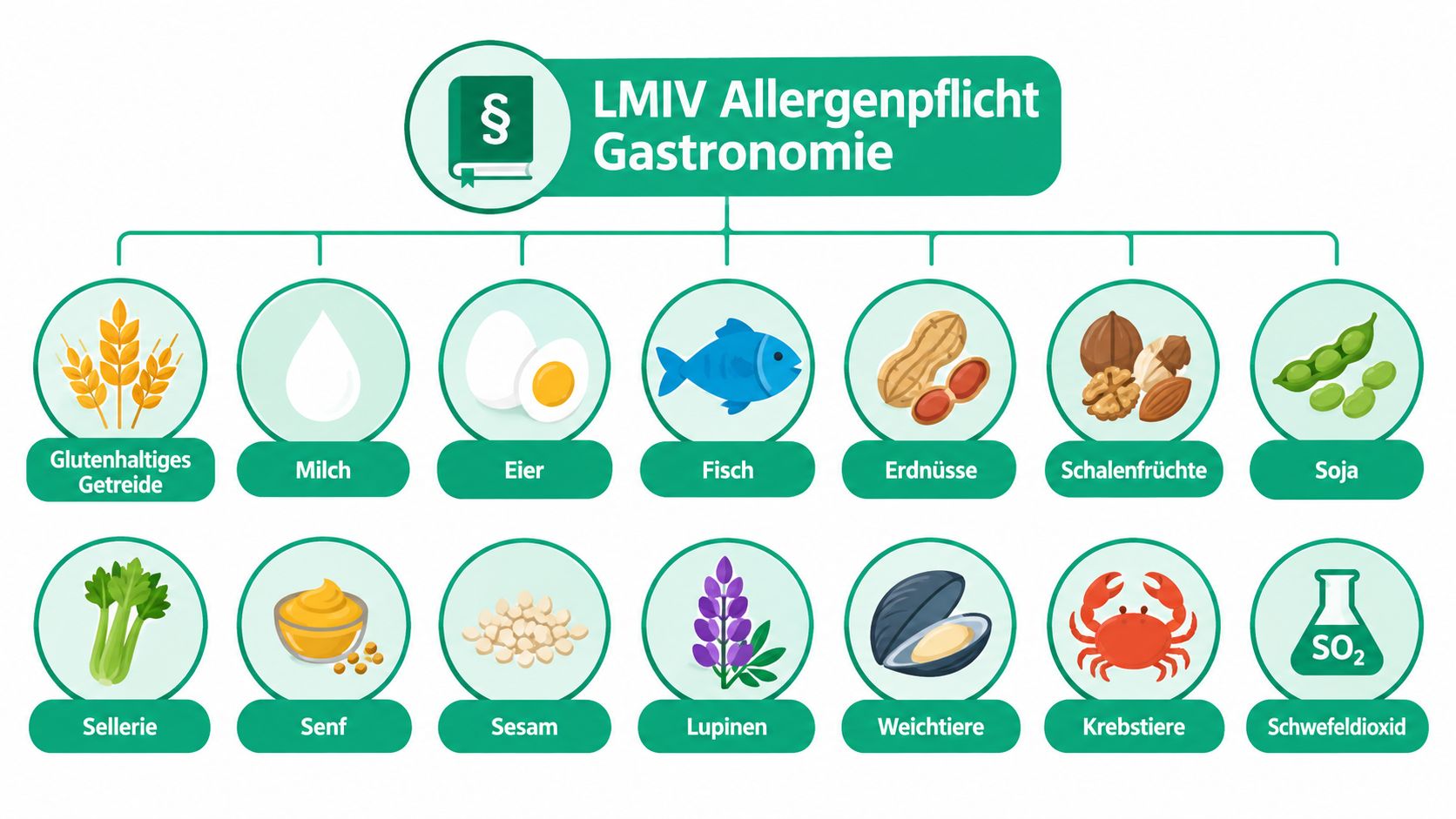 Übersichtsgrafik der 14 kennzeichnungspflichtigen Hauptallergene gemäß der Lebensmittelinformationsverordnung für die Gastronomie mit entsprechenden Symbolen.