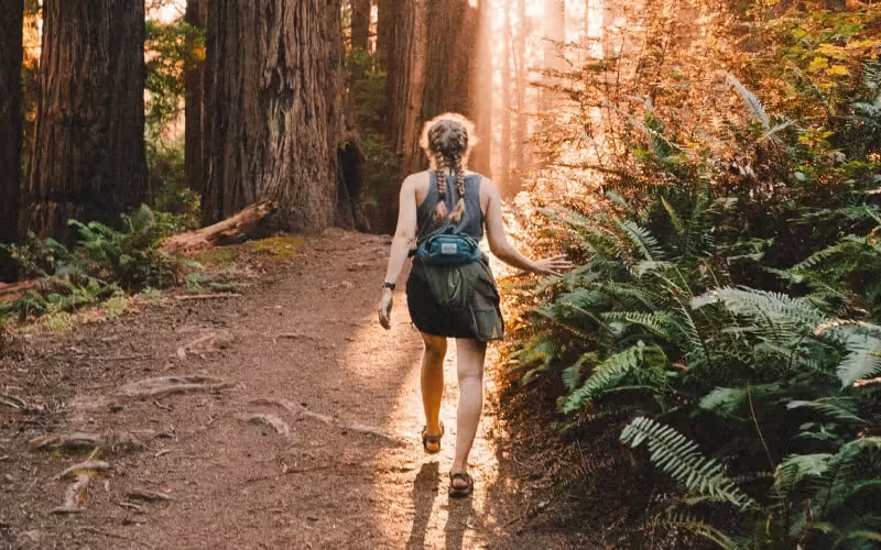 Рекомендации для числа судьбы 5