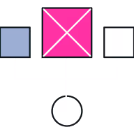 Diagram with three squares connected to one circle below by lines; middle square is pink with an X, left square is blue, right square is white.