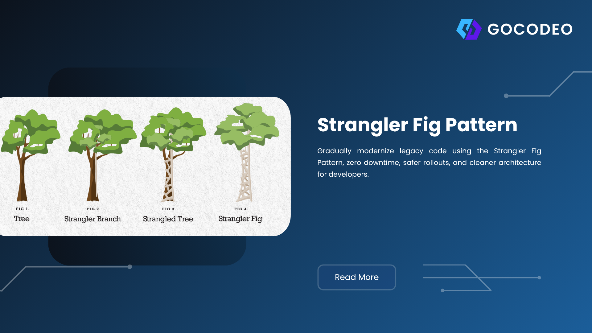 Image related to the blog post