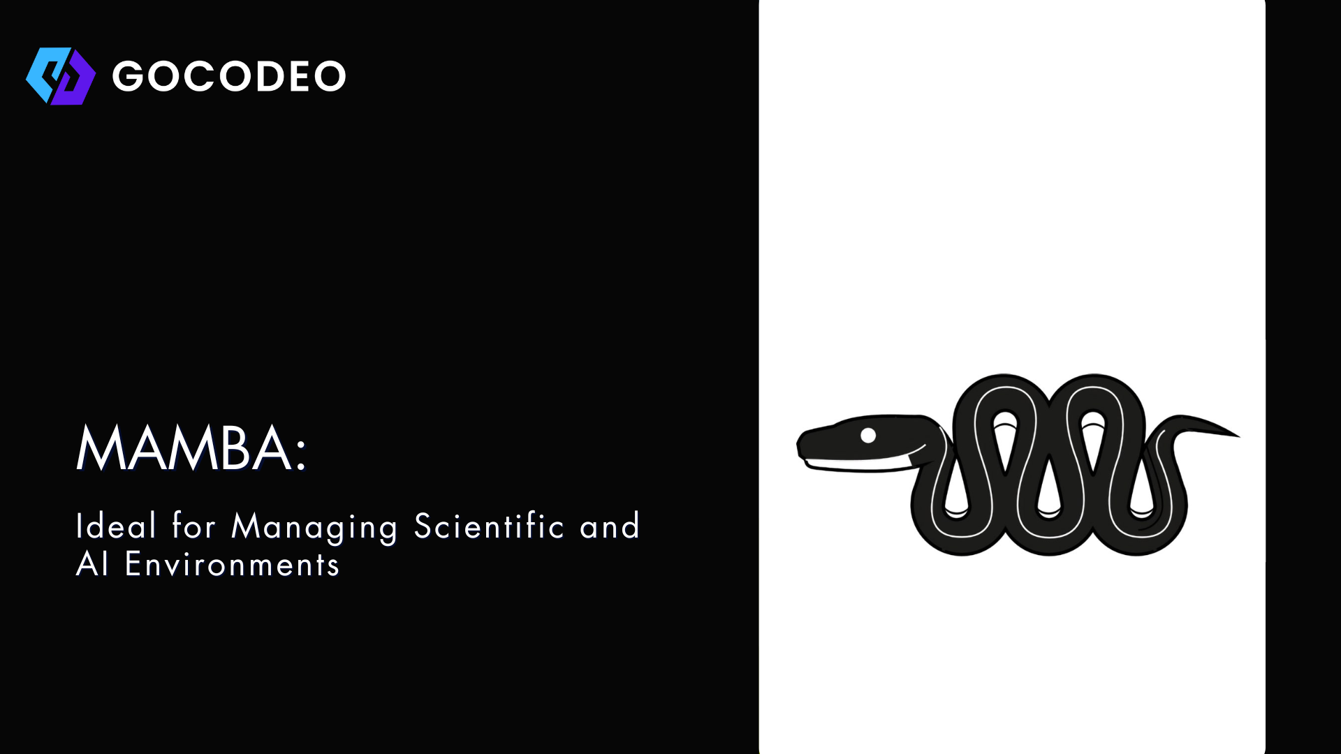 Image related to the blog post