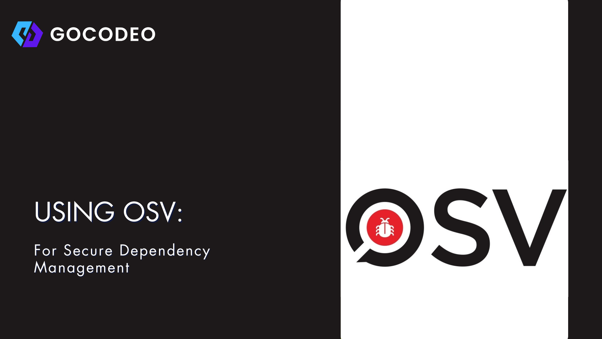 Image related to the blog post