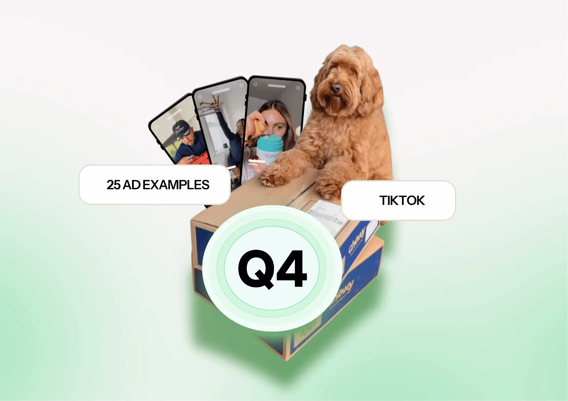 Looking for inspiration for your Q4 campaigns? We’ve pulled together 25 TikTok ads that we actually clicked on — with examples, insights, and takeaways you can apply to your own Black Friday, Christmas, and holiday campaigns.
