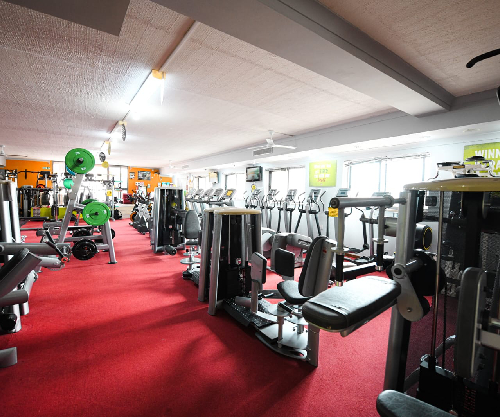blog-image