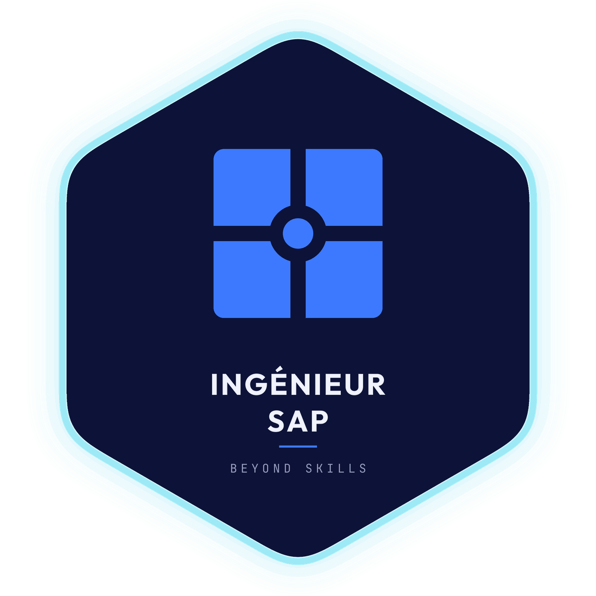 Overview of the SAP Engineer Role — Beyond Skills Job Description
