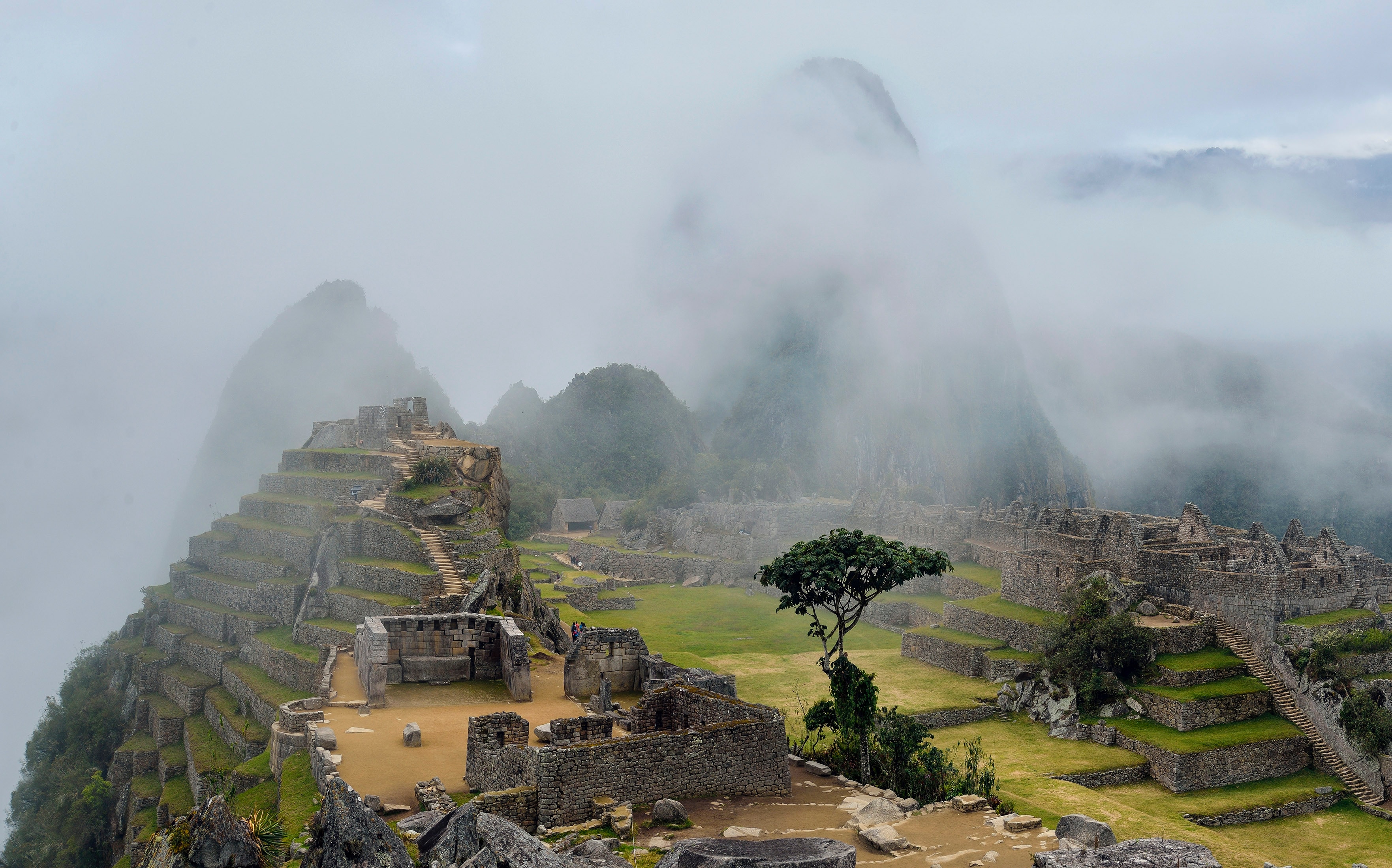 travel agency marketing