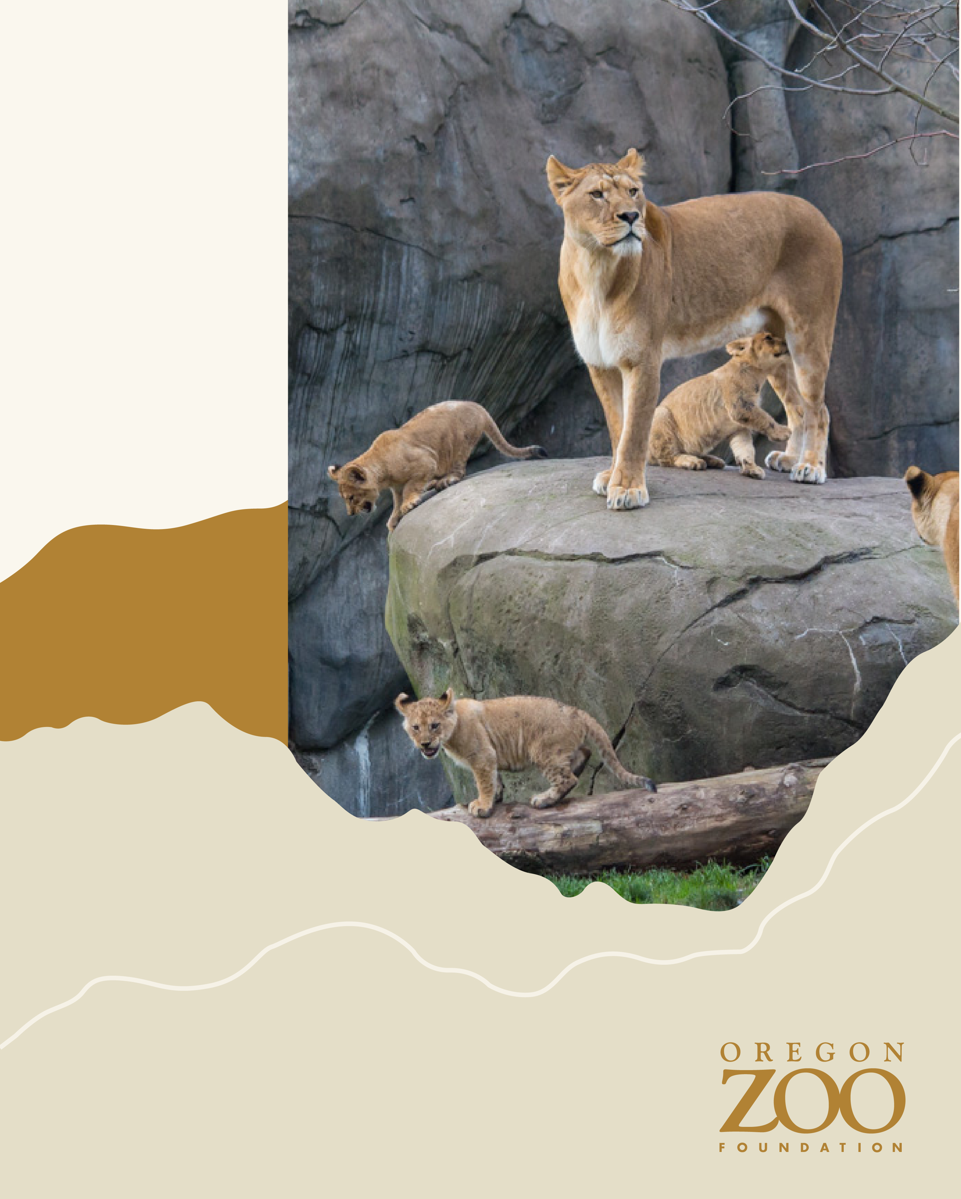 zoo advertising