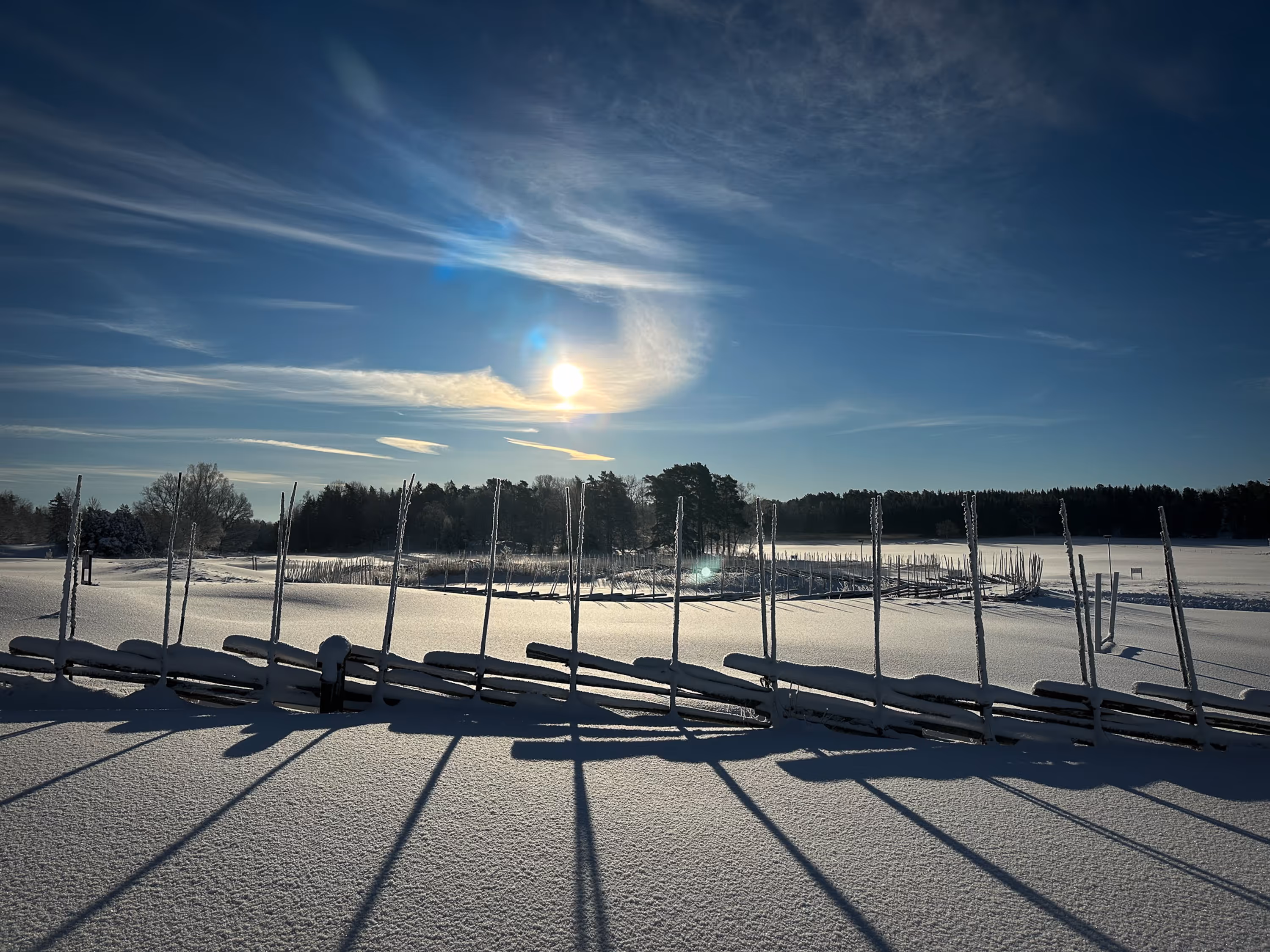 Alpacas at Siggesta Gård -hotel, conference and restaurant Värmdö