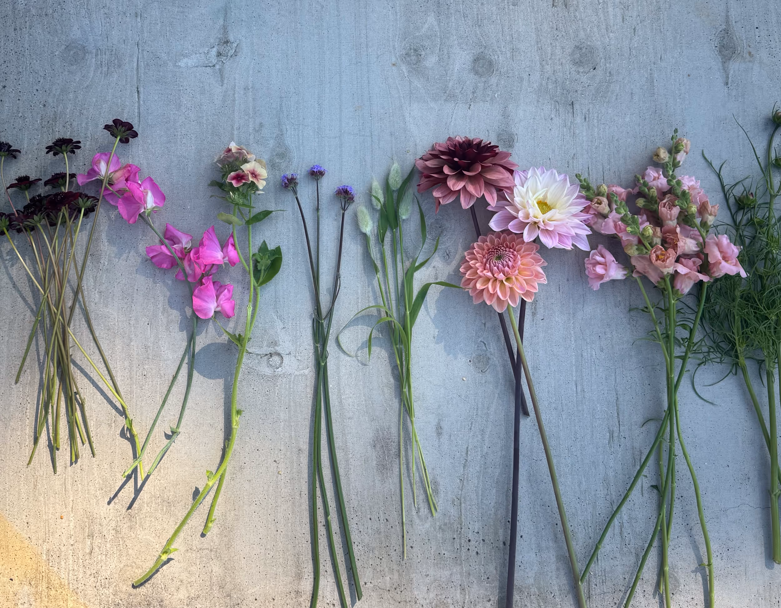 Julbord på Siggesta Gård