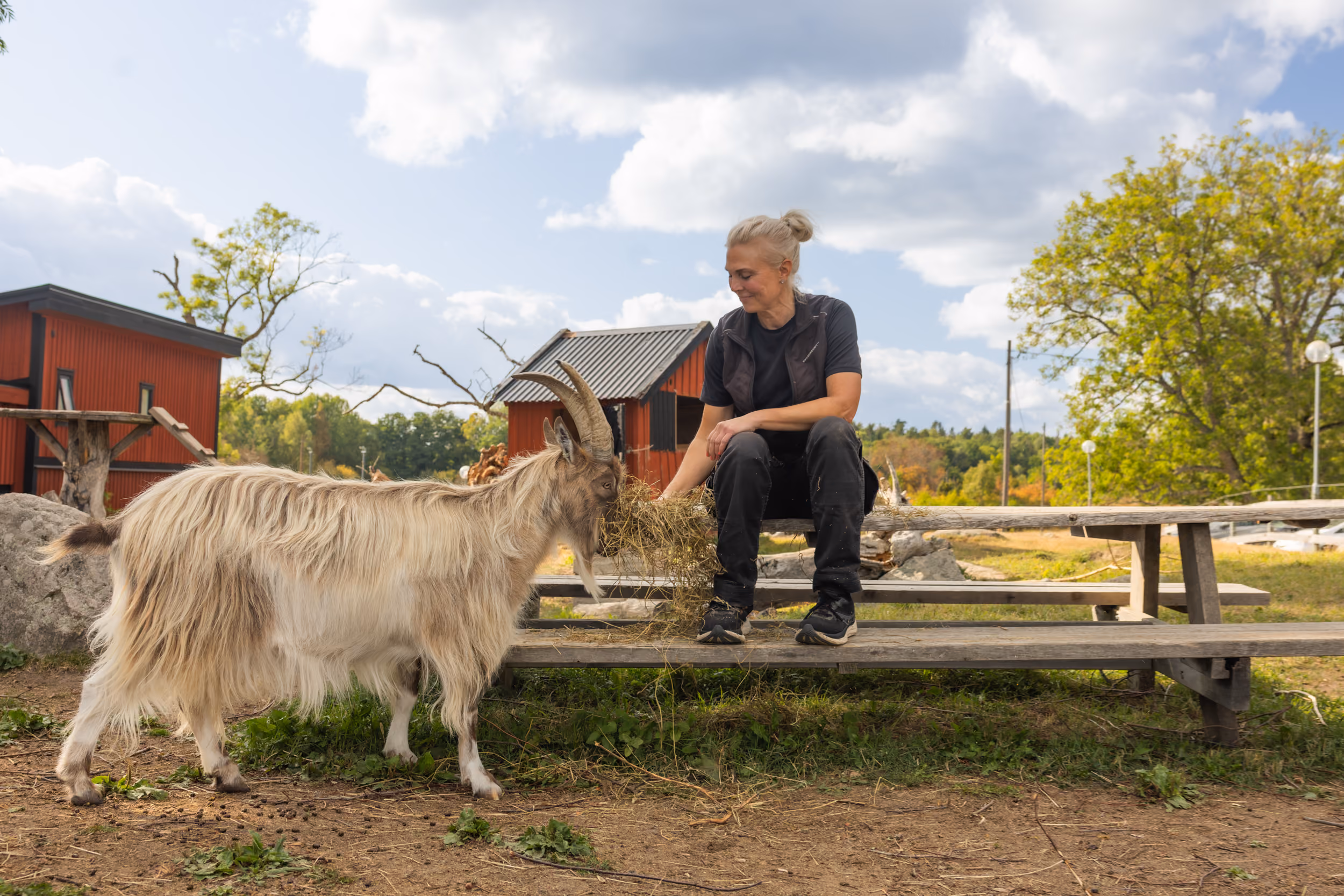 Aktiviteter Siggesta Gård