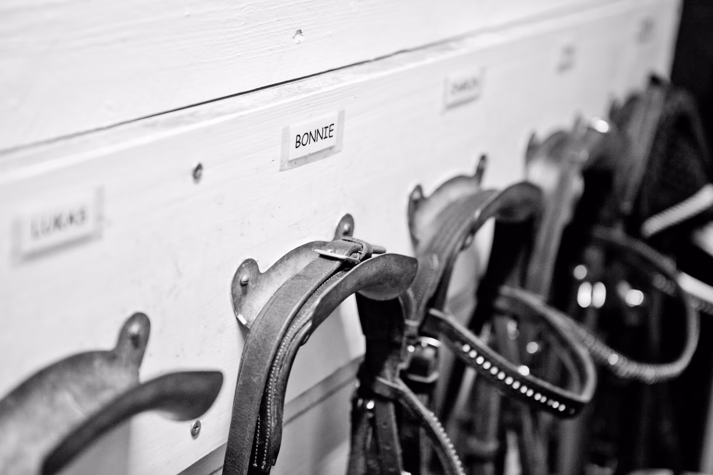 Ridning med företaget på konferens på Siggesta Gård