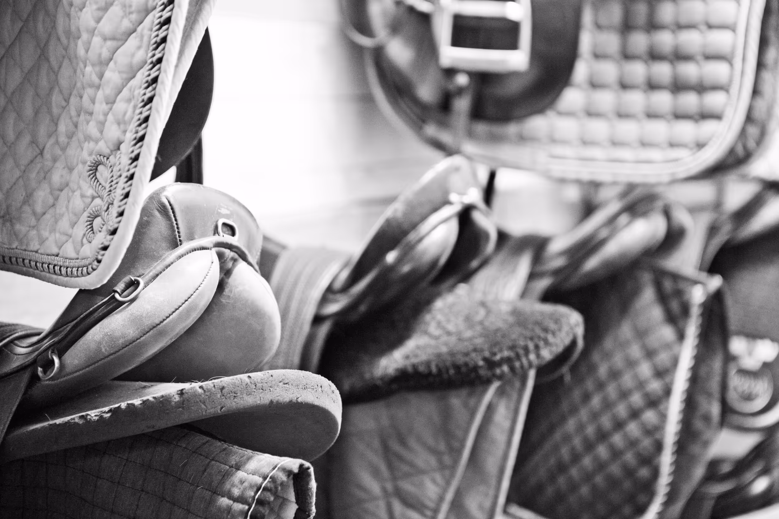 Ridning med företaget på konferens på Siggesta Gård