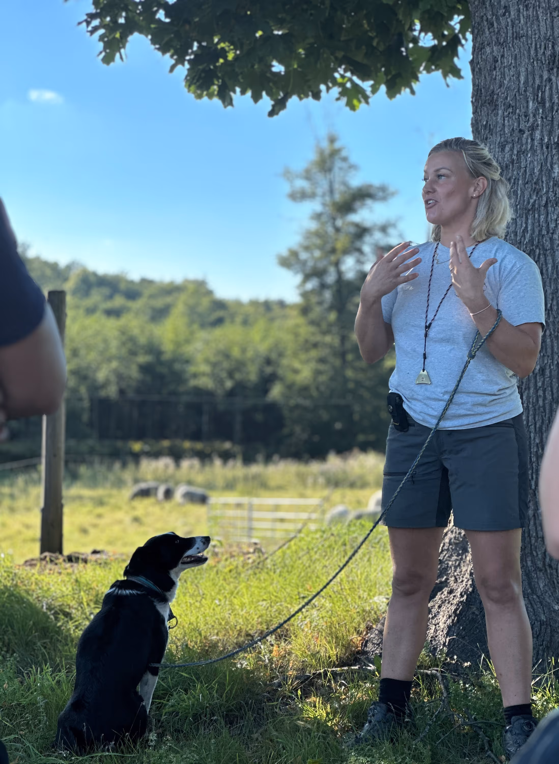 Förklarande bild för vilket eventets datum visar. Siggesta Gårds kalendarium fylls på med härliga händelser året om. 