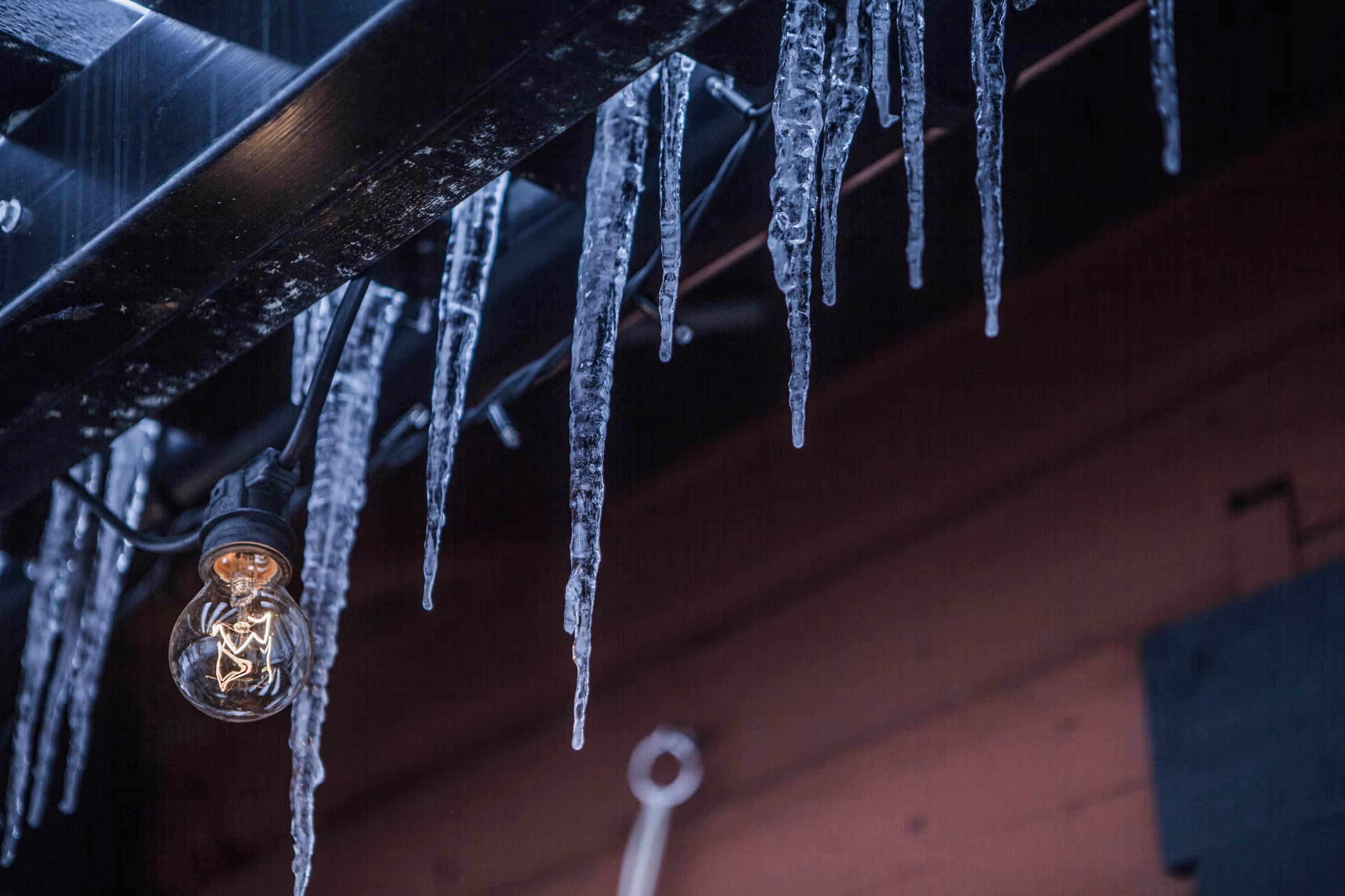 Gården håller stängt - kvällstid