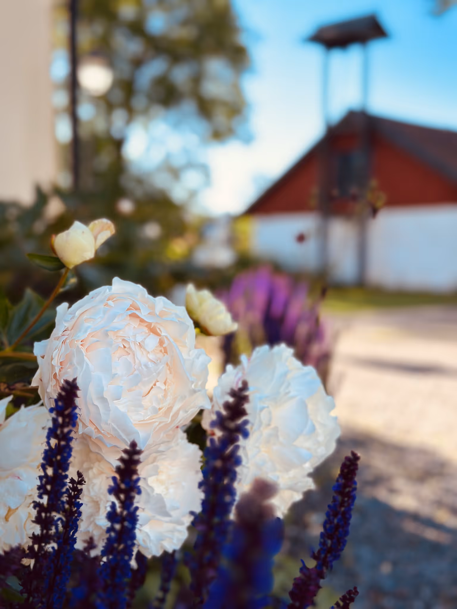 Midsommarafton med hotellpaket