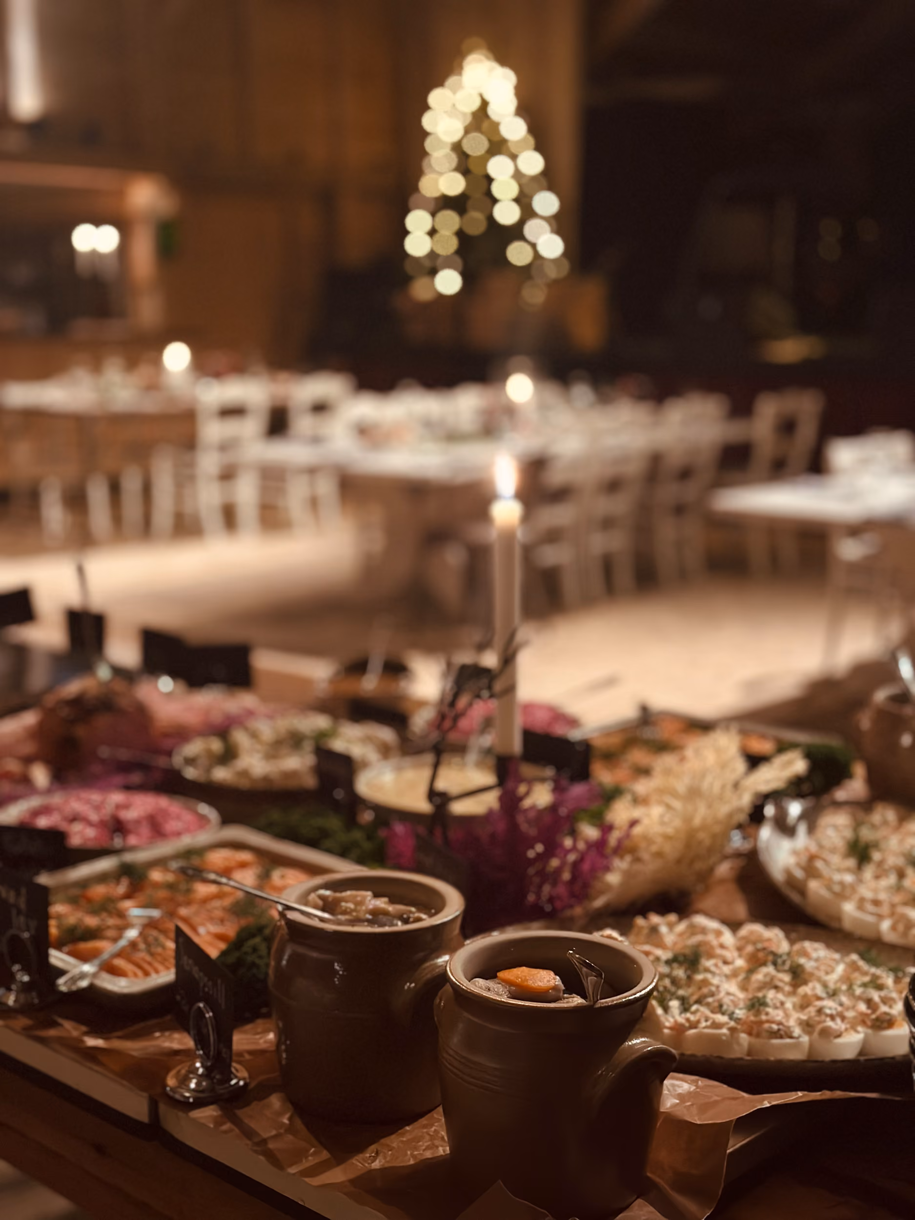 Allsång och julbord med Evelina Olsén på Siggesta Gård