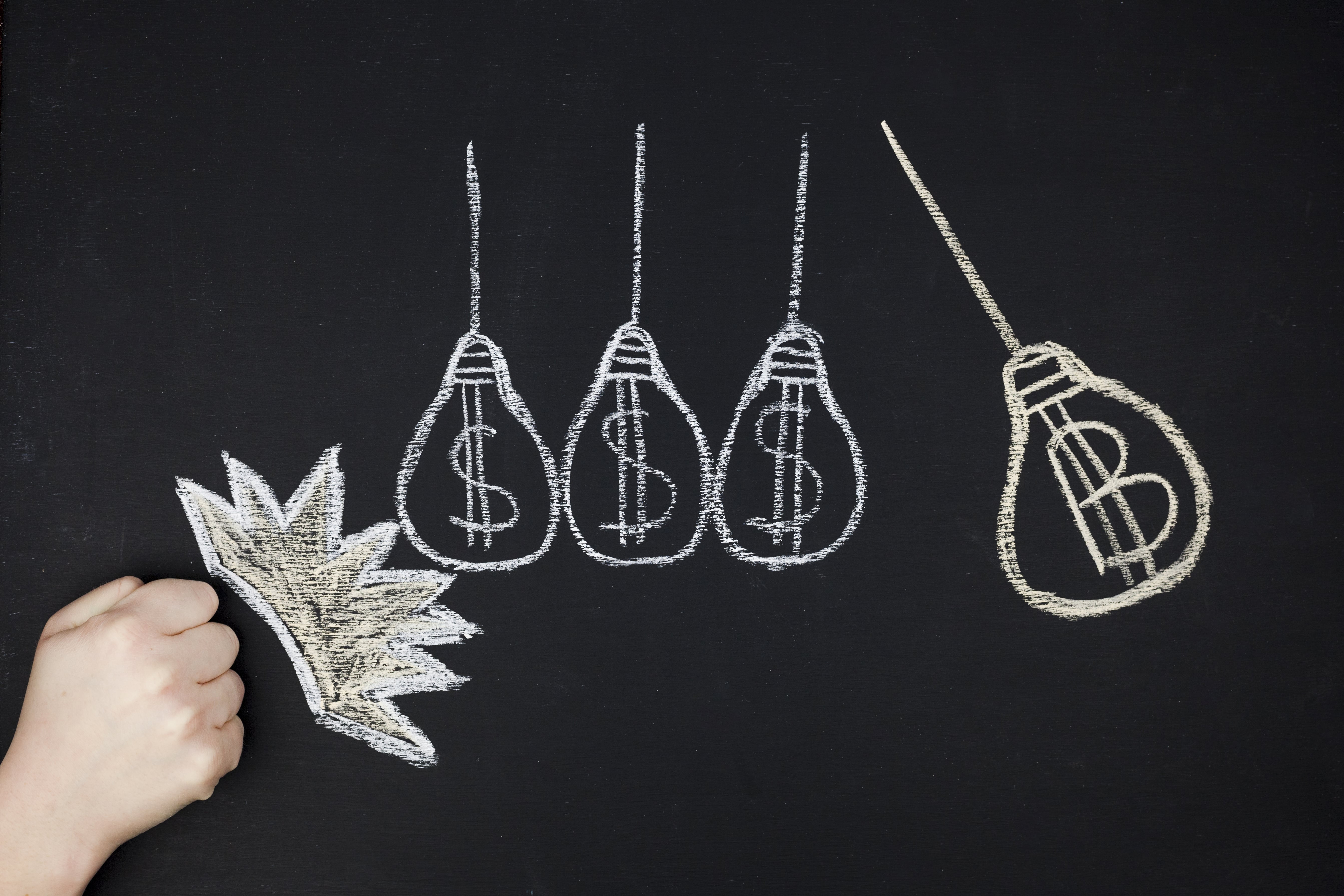 How Much Does Branding Cost? A Guide for Business Owners