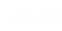 Big commerce