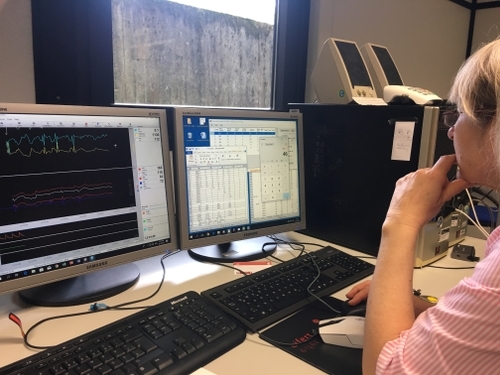 researcher looking at two screens