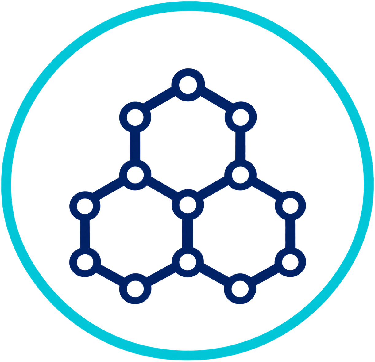 Body Composition icon