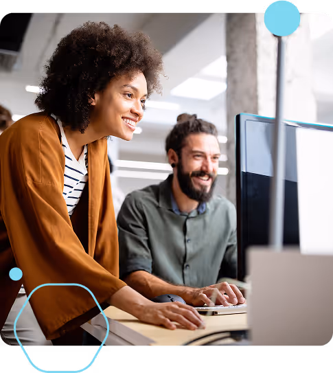 bulk vevo checks tool