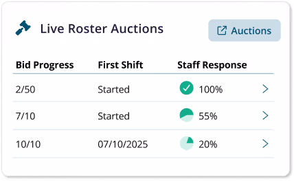 bulk vevo checks tool